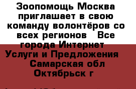 Зоопомощь.Москва приглашает в свою команду волонтёров со всех регионов - Все города Интернет » Услуги и Предложения   . Самарская обл.,Октябрьск г.